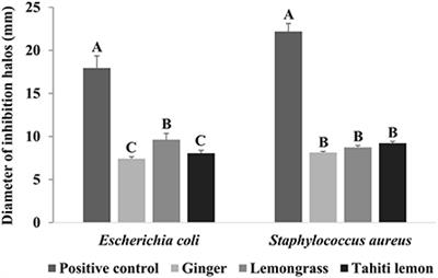 Combination of cassava starch biopolymer and essential oils for coating table eggs
